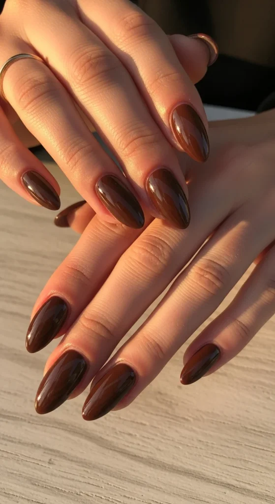 flat lay of Glossy espresso brown acrylic nails.